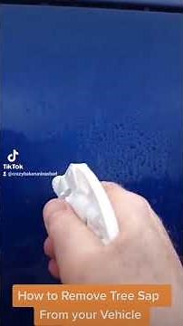 Detailing tip removing Tree Sap