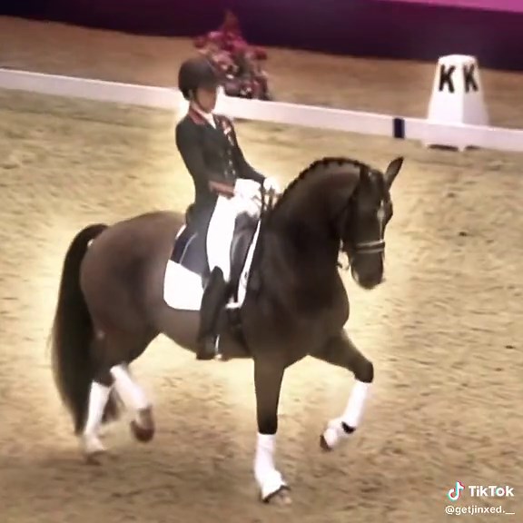Creative Dressage Edit Featuring Valegro and Charlotte Dujardin