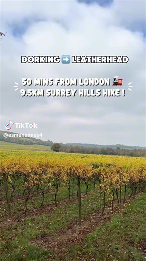 Have you walked from Dorking to Leatherhead before? 🚶‍♀️🌿 Around 9.5km, it’s an easy-to-follow route with peaceful riverside views and countryside calm — made even better by finishing with a well-earned drink at The Penny Black 🍻 A brilliant local walk for stretching the legs without overdoing it. 📽️: @esmeholmes4 #dorkingtoleatherhead #surreywalks #thamespath #surreylife #countrywalksuk