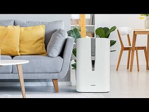 Explore the Incredible Features of the Sharp Plasmacluster® Ion Air Purifier KC860U!