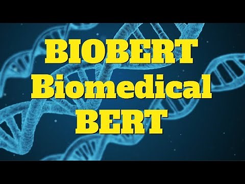 BioBERT pre-trained biomedical language representation model Paper Explained #nlp