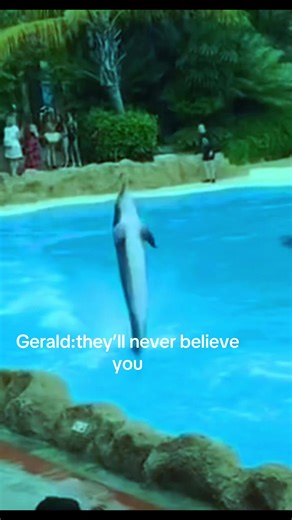 The Truth Behind Gerald the Dolphin's Stories