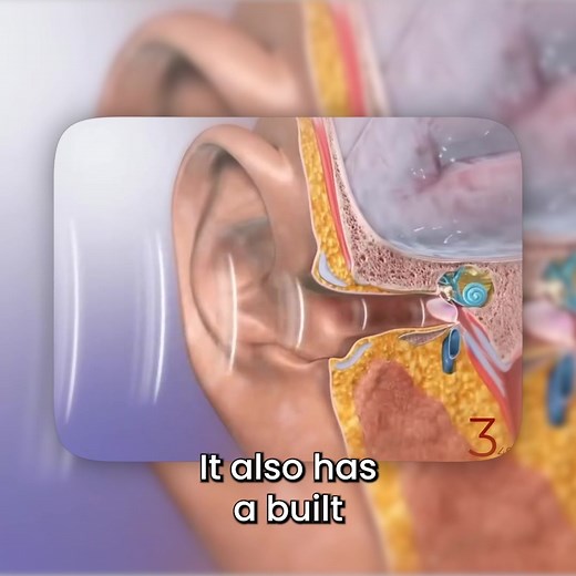 Revolutionary Hearing Aids That Transform Your Life in Minutes Finally, hearing aids that work WITH you, not against you. Imagine putting on hearing aids that instantly adapt to your unique hearing profile—no doctor visits, no expensive appointments, just crystal-clear sound in 5 minutes flat. What Makes These Different? ⚡ Instant Personalization Built-in hearing test creates a custom profile matched to YOUR hearing loss. Simply use your phone, and watch these intelligent devices configure thems