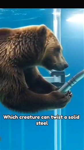 Animals vs Steel Rod - Which Creature Can Twist Metal Better Than a Machine #shorts