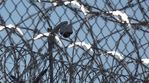 IOWA - 6.28.2024 - Close-up of a security camera seen through loops of barbed wire outside the Iowa State Penitentiary.