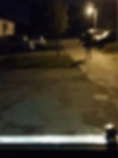 What is that? #alien #ai