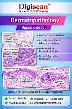 Dermatopathology Digital Slide Set by Digiscan™
