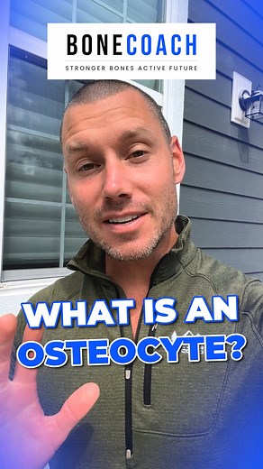 Osteocytes play a vital role in bone remodeling by sensing mechanical stress and damage, signaling other bone cells to strengthen. Recent research reveals that in inflammatory conditions like autoimmune diseases, osteocytes produce pro-inflammatory cytokines, leading to increased bone resorption and decreased formation. To combat osteopenia and osteoporosis, it’s crucial to stimulate bone strength while addressing underlying inflammation. Share this video for more insights and comment your burni