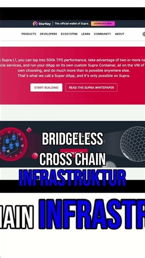 Supra: Revolutioniert Blockchain mit MultiVM & Cross-Chain Power! #shorts