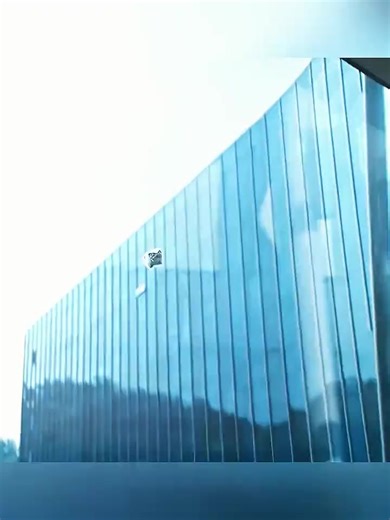 Strange Encounter with a Giant Golden Egg Horror