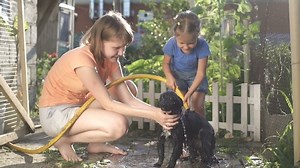children in the yard outside are washing the dog with water from a hose