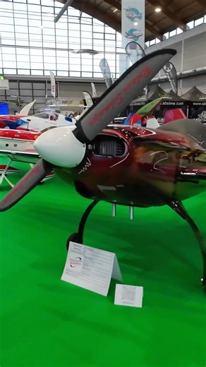 Faszination Modellbau 2025 - Flugmodell