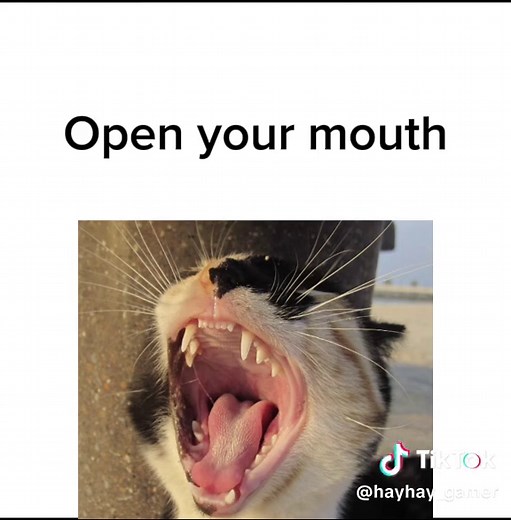 Effective Communication: A Talk Tutorial