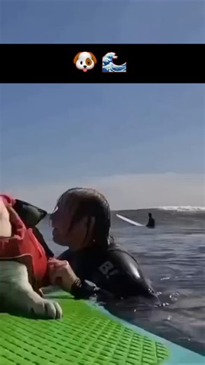 Emoción sin límites 🔥 🥰 Vía Daily Surf/TT | ESPN Deportes