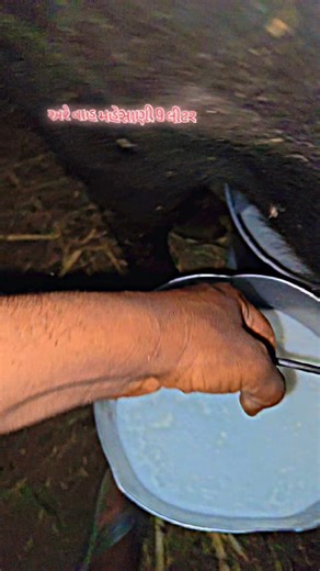 Is Sustainable Farming Worth It? #shorts #shortfeed #shortfeed2025