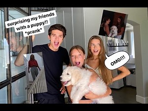 I GOT BRENT RIVERA A PUPPY *PRANK*!! PRANKING MY FRIENDS!
