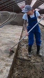74K views · 472 reactions | A Cows Manure Cleaning in the Stem | Farm Factory | Facebook