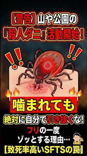 マダニの恐怖 #ショート動画 #プチ知識 #雑学#ダニ#マダニ