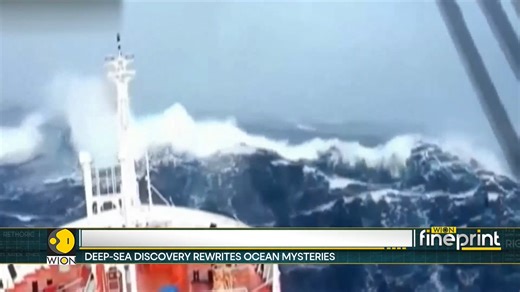 36K views · 463 reactions | Bermuda Triangle mystery deepens Scientists baffled by a giant structure hidden beneath Bermuda Eric Njoka brings you more details | WION | Facebook