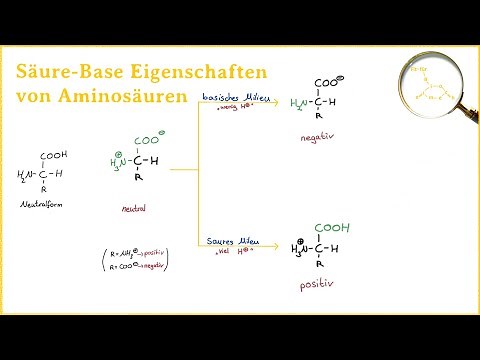 Säure Base Eigenschaften von Aminosäuren