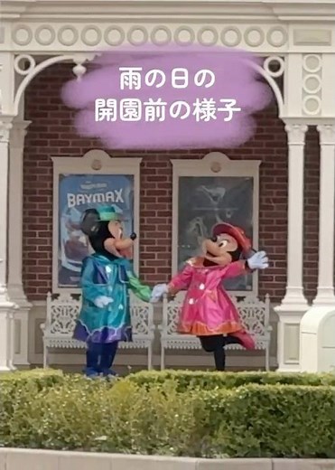 ディズニーランド・雨の日の開園前グリーティング‼️ミキミニ&おしゃれキャット #tdr #ミキミニ #youtube #shorts ##mickeymouse #disney #tdl