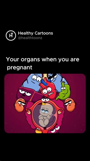 Healthy Cartoons on Instagram: "Pregnancy isn’t just a bump - your organs are doing a full renovation inside.🤰 When you’re pregnant, your organs aren’t just working… they’re multitasking like superheroes. Your heart pumps harder, lungs adjust, stomach squeezes, and your body makes space for life—proof that women are unbelievably powerful 💗 Follow @healthtoonz for more videos. . . . #pregnancy #organ #pregnant #mom #baby #pregnantbelly #animation #cartoons #babylife #placenta #christmas #stomac