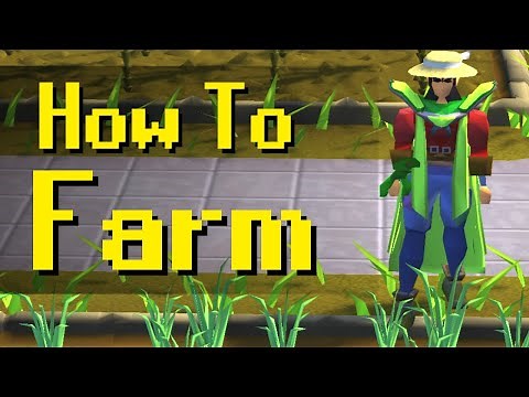 Ultimate Noob Guide to Farming