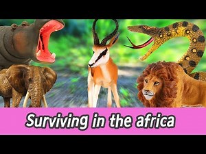 [EN] Surviving in the africa!! animal names for kids, kids animation, collecta #147ㅣCoCosToy