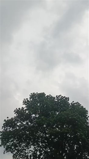 BM Towing service (@bmtowingservice)’s videos with suara asli - #HerexTikTok