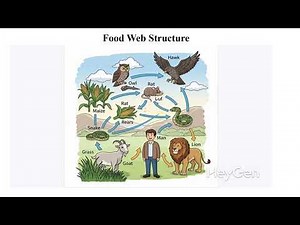 Lesson 4: Understanding Food Webs