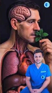 When You Eat Mint, THIS Happens Inside Your Body 🌿😳 #Mint#Peppermint#Health#DoctorExplains#Nutrition