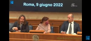 Una cosa è certa, non sono una vittima. Sono uno che quando parla fa male, per questo avete paura di me. Per questo evitate accuratamente di intervistarmi in video. Volete la guerra, che guerra sia. Compilate le vostre liste, querelatemi, mandatemi i Carabinieri a casa. Ogni azione vi si ritorcerà contro. Perché voi siete dalla parte della menzogna, io dalla parte della ragione. E ve lo dimostrerò. | Giorgio Bianchi