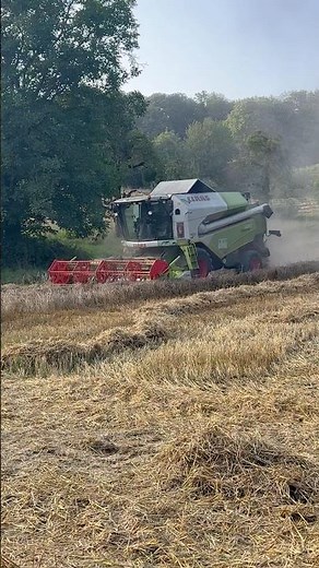 Claas 430 im Endspurt