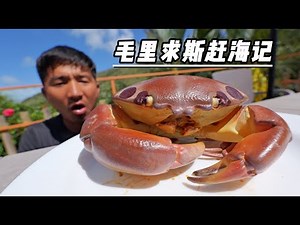 Mauritius" Episode 5: Catch big crabs , and also catch a 300-pound oceanic whitetip shark on the way