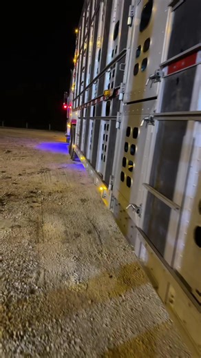 Yard puppies loaded and heading west 😎🤙 | puppies