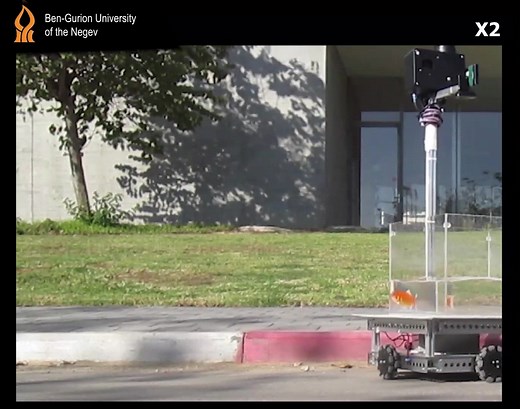 44K views · 753 reactions | An unlikely automobile is bringing new meaning to the phrase “go fish:” Scientists put a fish tank on wheels to test whether goldfish can navigate as well on land as they can in water. Learn more: https://fcld.ly/wpjbcm1 | Science | Facebook