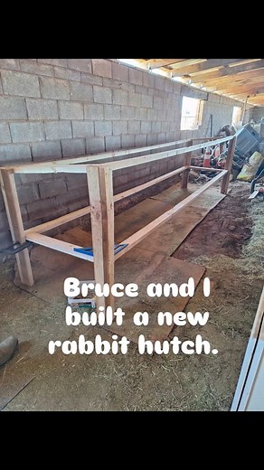 We built a new rabbit hutch! Then we put the other hutch on top of the new hutch. Now I have a WALL OF RABBITS!!! I LOVE IT ❤️ #raisingmeatrabbits #raisingrabbits #rabbitlife #rabbitmeat #rabbitsareawesome #rabbits #rabbitsforsustainability #homesteadlife #homestead #farmlife #homesteadblogger #countrylife #countryliving #country #ranching #homesteadersofinstagram #ranchwife #farmwife #farmanimals #farmliving #farm #farming | Chelsie Germain