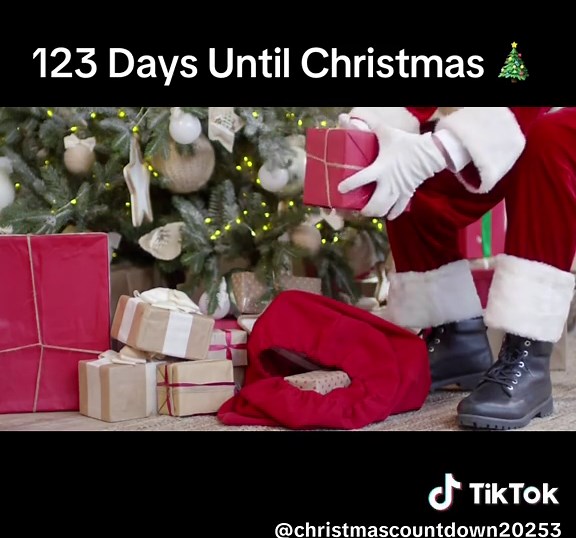 123 Days Until Christmas Countdown 2025