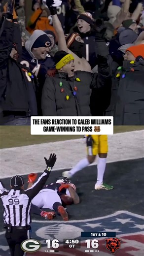 Chicago Bears Enthusiasm with Caleb Williams Highlights