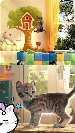#learning LITTLE KITTEN ADVENTURE FOR #toddlers - LEARN PLAYFULLY WITH A #cartoon #cat #kitten