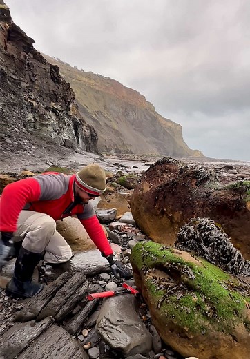 Fossil Discovery: Jurassic Age Shale Landslide Finds