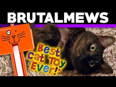 Fling-ama-String! - Cat Toy Review