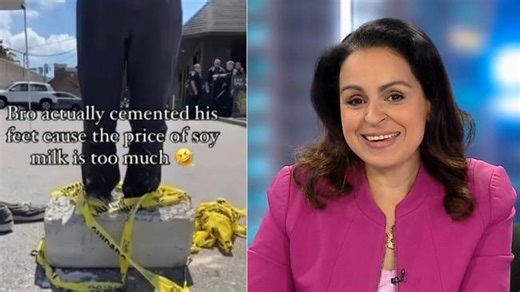 Lefties losing it: Rita Panahi mocks vegan protester with feet in cement block