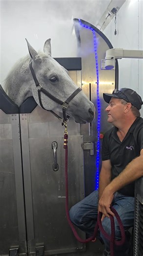 Mystic Ice Equine Cryotherapy - Therapy and Equipment Sales on Reels