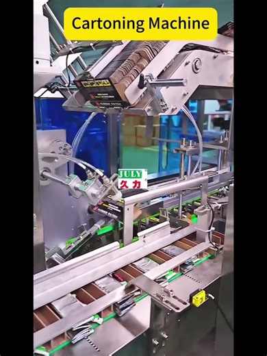 Cartoning Machine