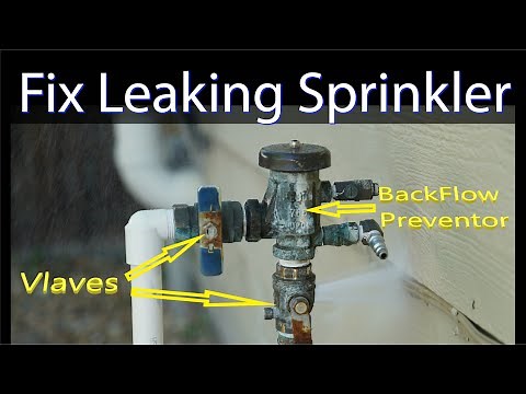 Replace leaking Sprinkler System Backflow Preventer and Valve