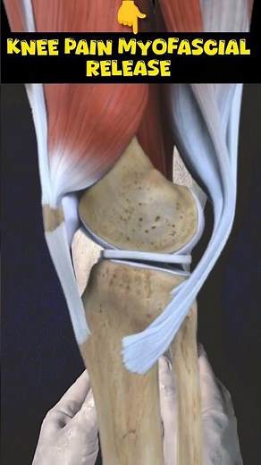 How to Knee Joint Myofascial Release! Do this technique! #painrelief #shorts #youtube #viralshorts