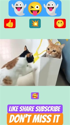#funny #animal #cat #comedy #pets #laugh #viral #love #reels #trending #shorts #new #fun #dog #edit