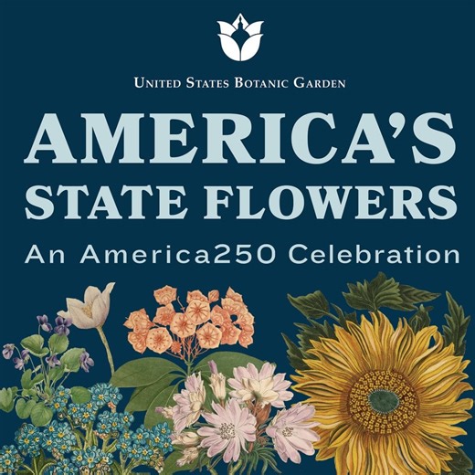 “America’s State Flowers: An America250 Celebration” opened at United States Botanic Garden! - PoPville