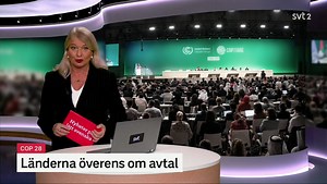 20231213-Nyheter-pa-latt-svenska-13-dec-17-15 : SVT : Free Download, Borrow, and Streaming : Internet Archive